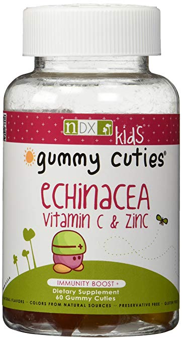 Natural Dynamix Kids Echinacea Vitamin C and Zinc - 60 Gummies - Buy Packs and Save (Pack of 6)