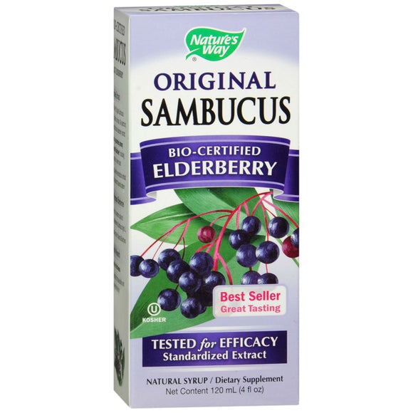 Nature's Way Sambucus Syrup Original 4 OZ