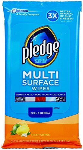 MULTI-SURFACE WIPES 12-25 COUNT