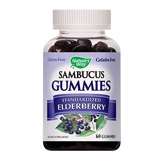 Sambucus Elderberry Gummies Herbal Supplements, 60 Count - Buy Packs and Save (Pack of 2)